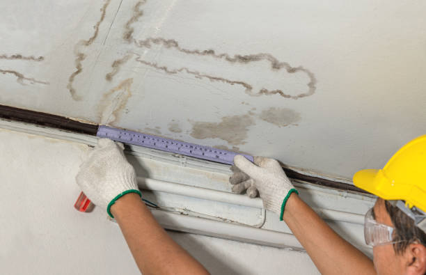 Reliable Mold Remediation contractor in Chelsea, OK by Water Damage Irwin